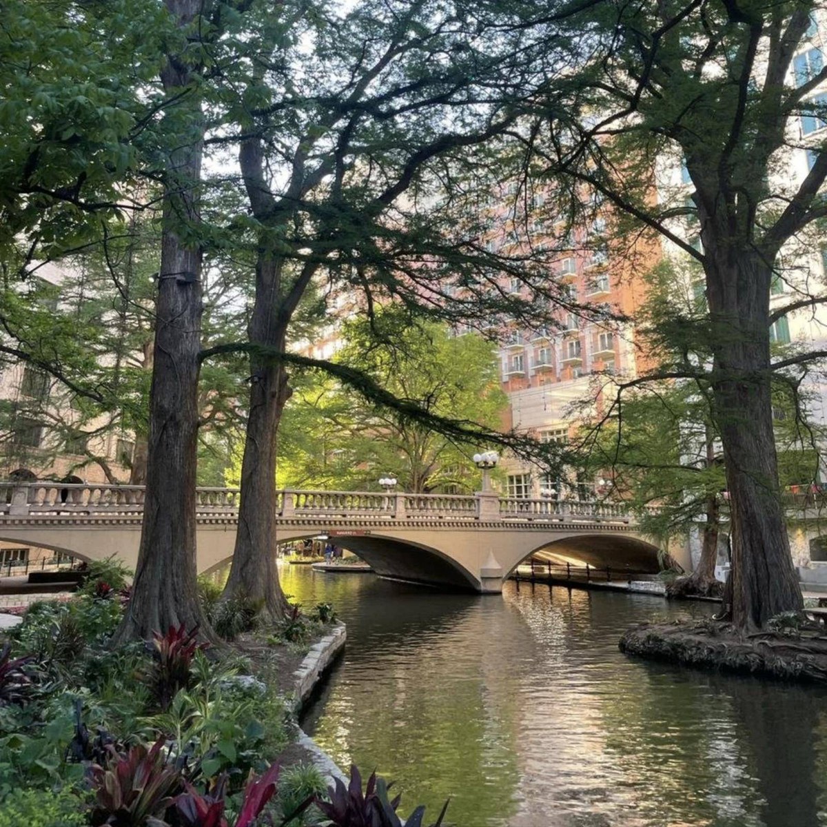 The San Antonio River Walk with a stone bridge and bald cypress trees